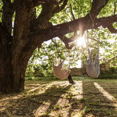 View larger image