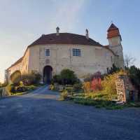 burgbernstein's picture